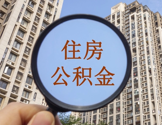 河南公积金自动离职可以取吗（住房公积金自动离职可以取吗）